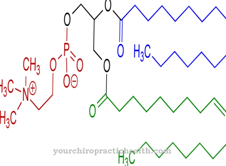 Lipid