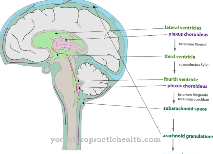 Cerebrospinal fluid