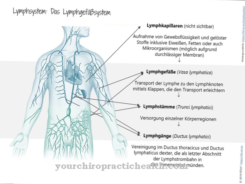 Lymphatic system