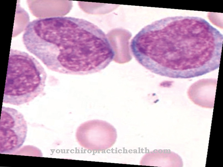 Monocytes