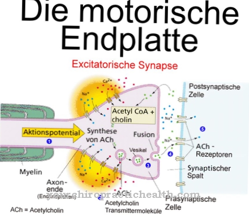 Motorized end plate