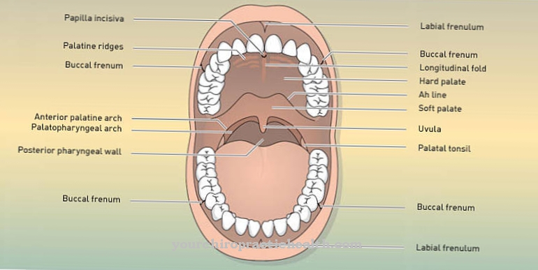 Oral cavity