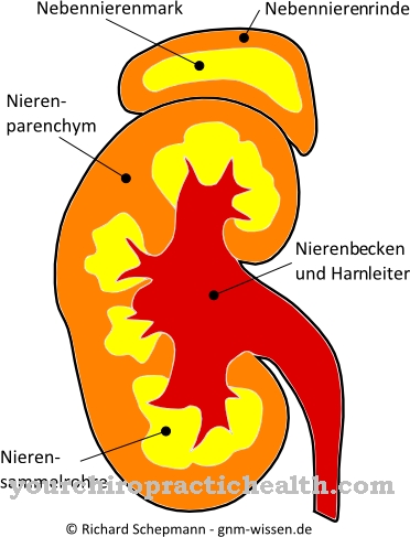 Neerupealiste medulla