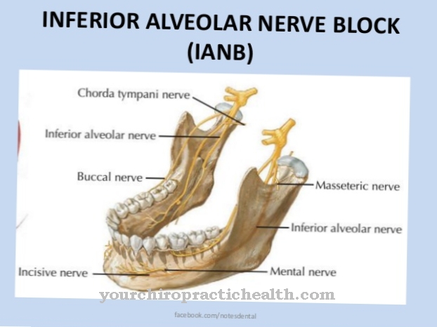 Nerf alvéolaire inférieur