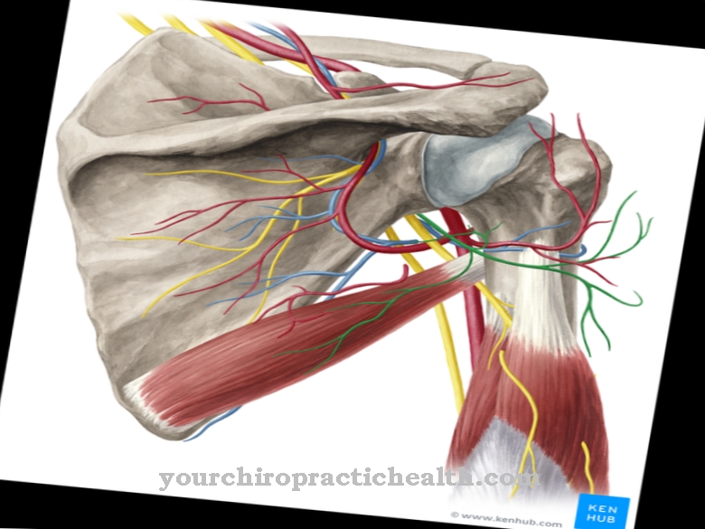 Axillary nerve