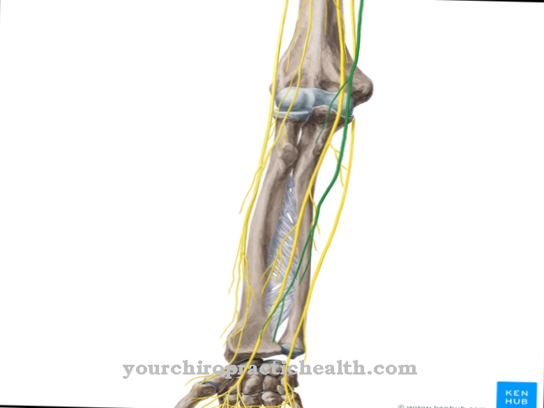 Medial antebrachial kutan nerv