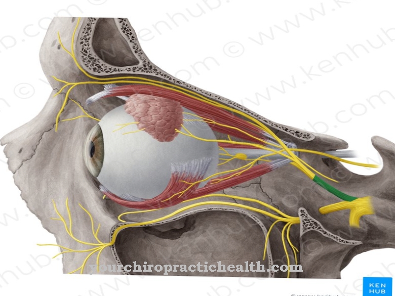 Ophthalmic nerve