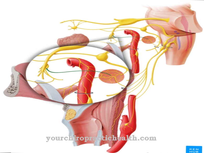 Petrosus minor nerve