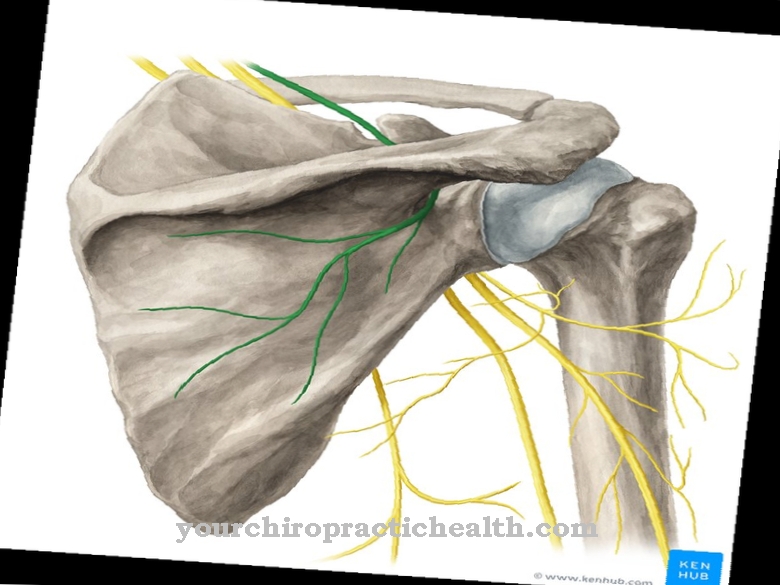 Suprascapular nervs