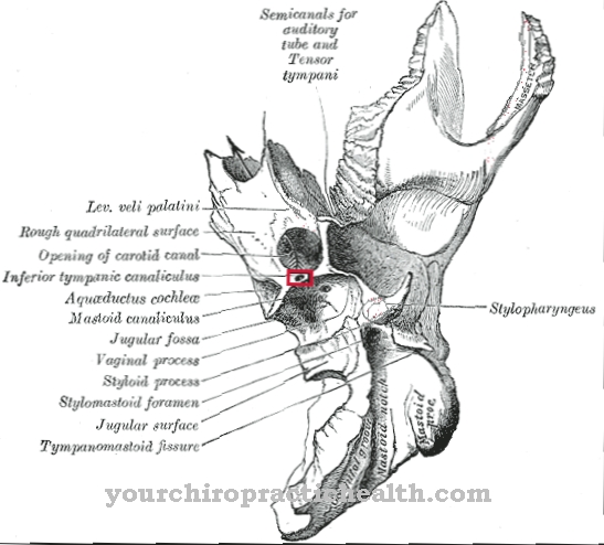 Tympanic nerve