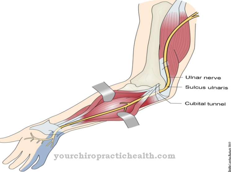 Ulnar nervs