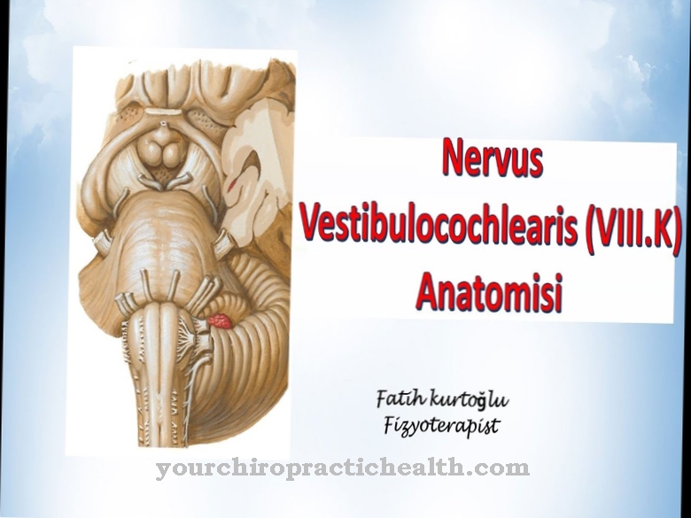 Vestibulocochlearis ideg