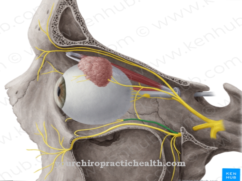 Zygomatisk nerve