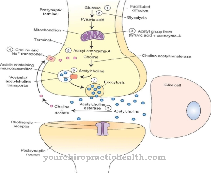 Neurotransmitter