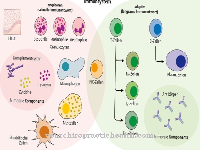 NK cell