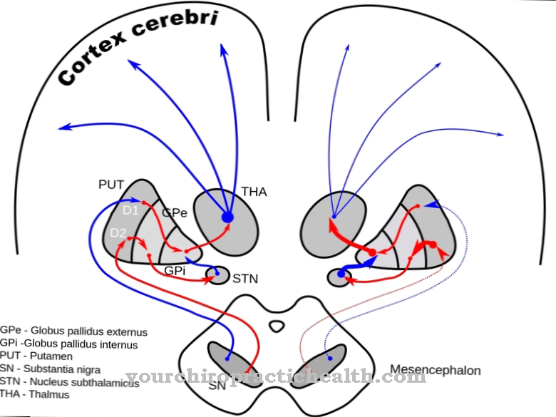 Subthalamic nucleus