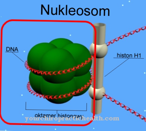 nukleosom