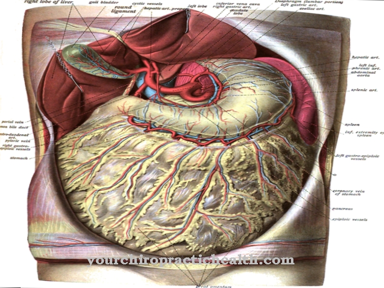 Plus grand omentum