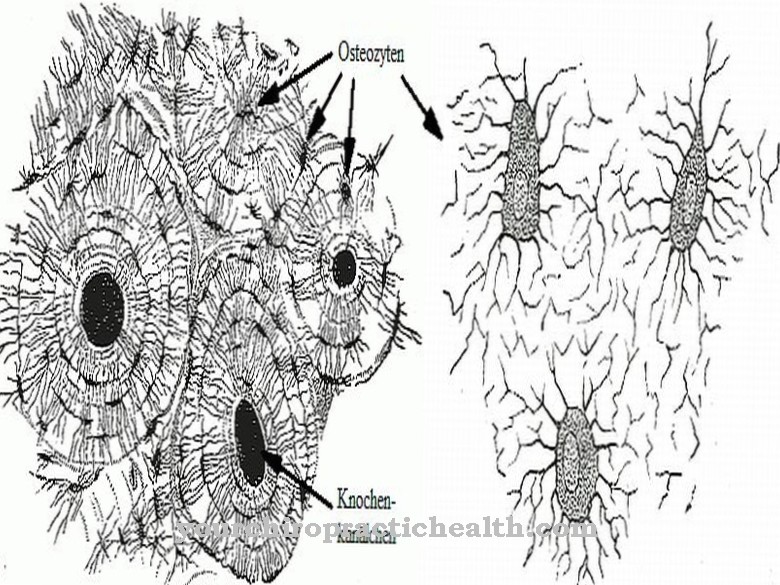 osteosyyteiksi