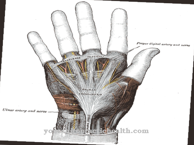 Chứng apxe thần kinh cổ tay