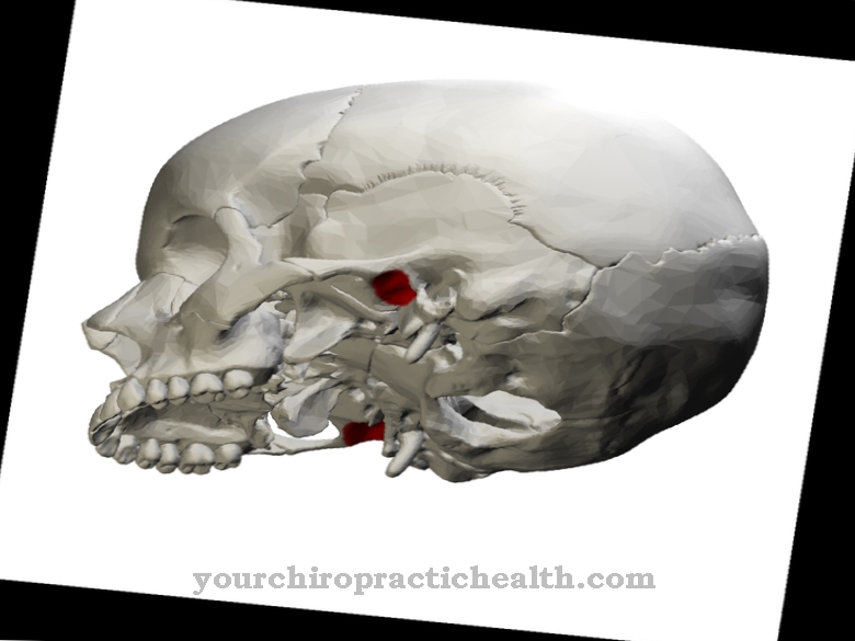 Mastoid proces