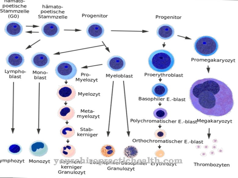 Progenitorisolu