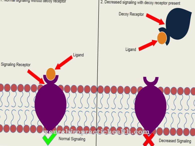 Receptores