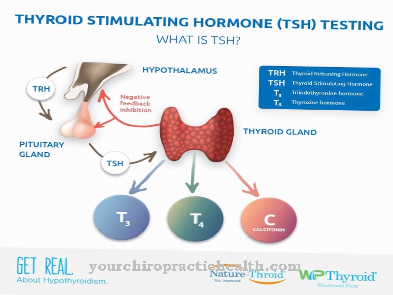 Thyroid hormones