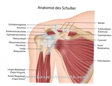 Shoulder joint