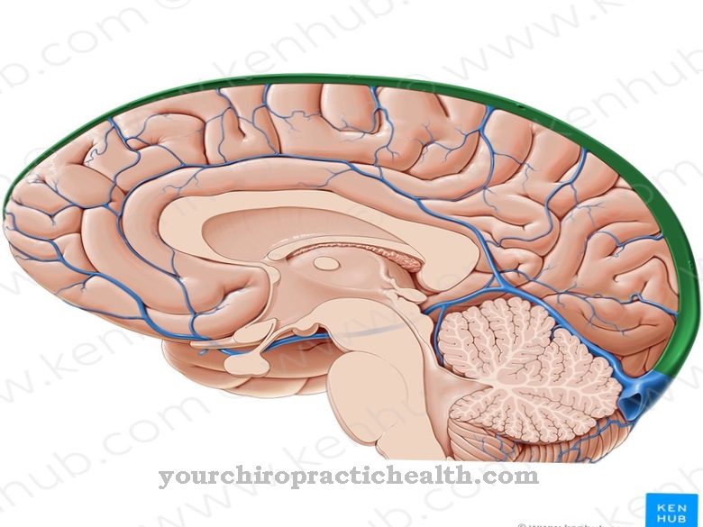 Superior sagittal sinus