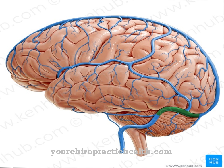 Transverse sinus