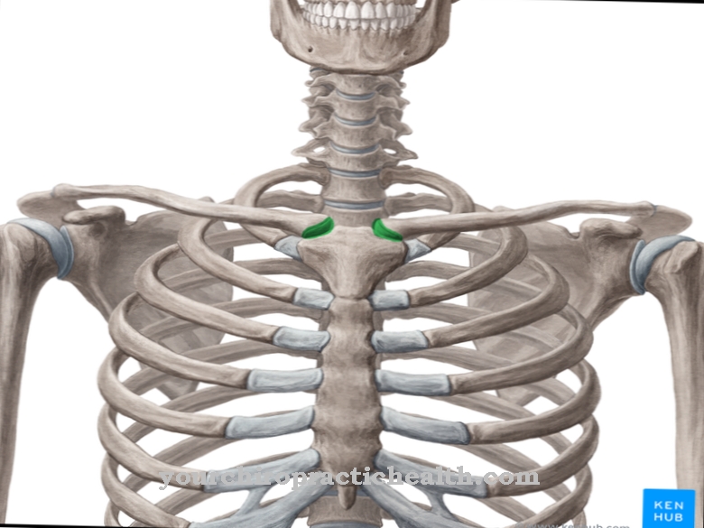 Articulation sternoclaviculaire