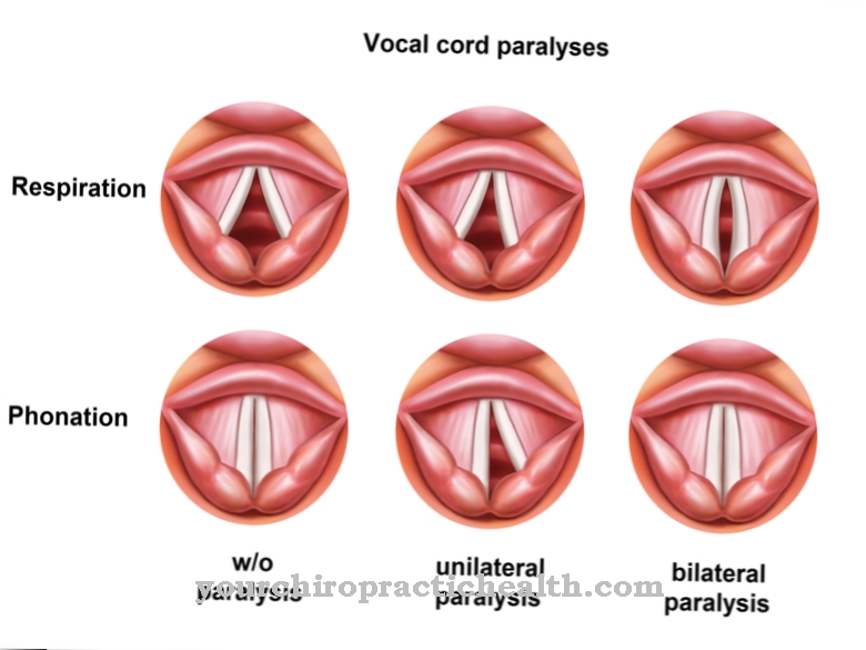 Vocal folds