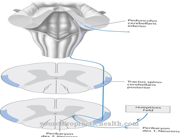 Spinocerebellar kanal