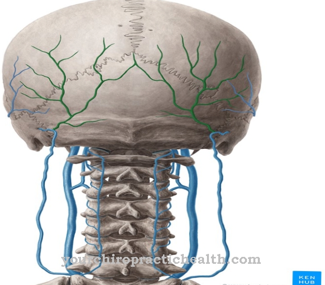 Vena occipital