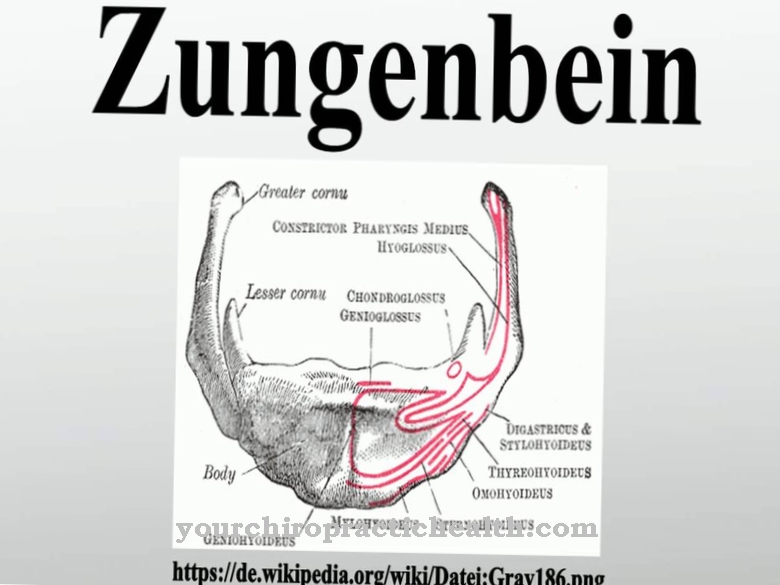 Tulang hyoid