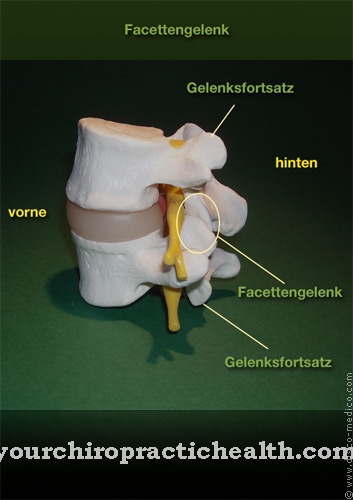 Intervertebralni zglob