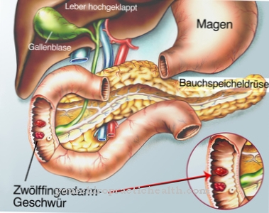 Duodenum