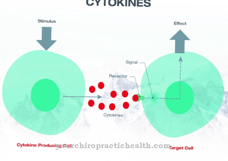 Les cytokines