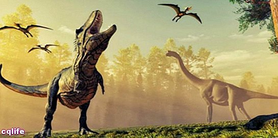 history of dinosaurs