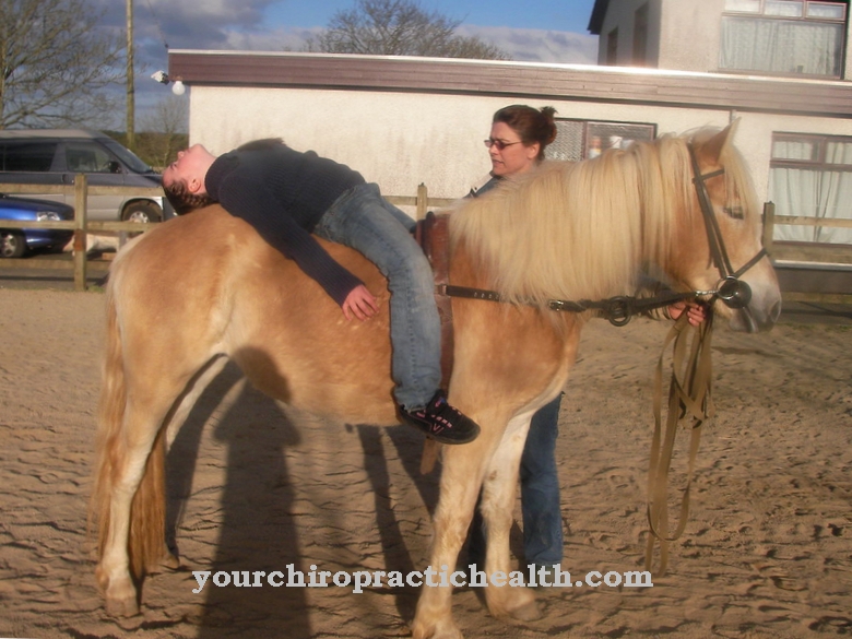 Hippotherapy