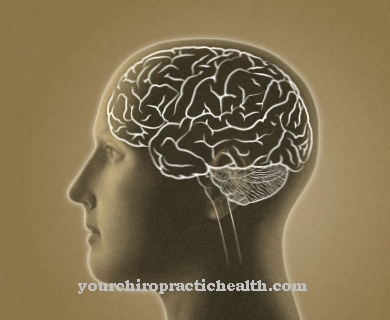 Brain stem audiometry