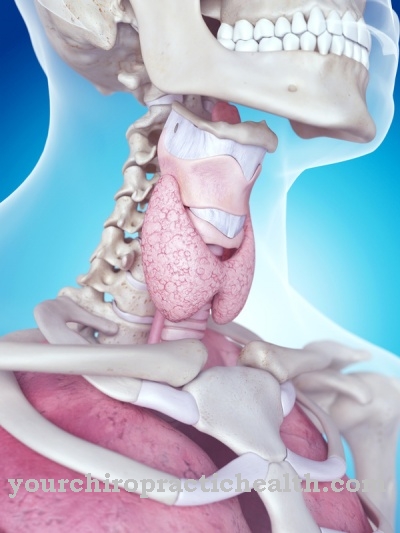 laryngoscopy