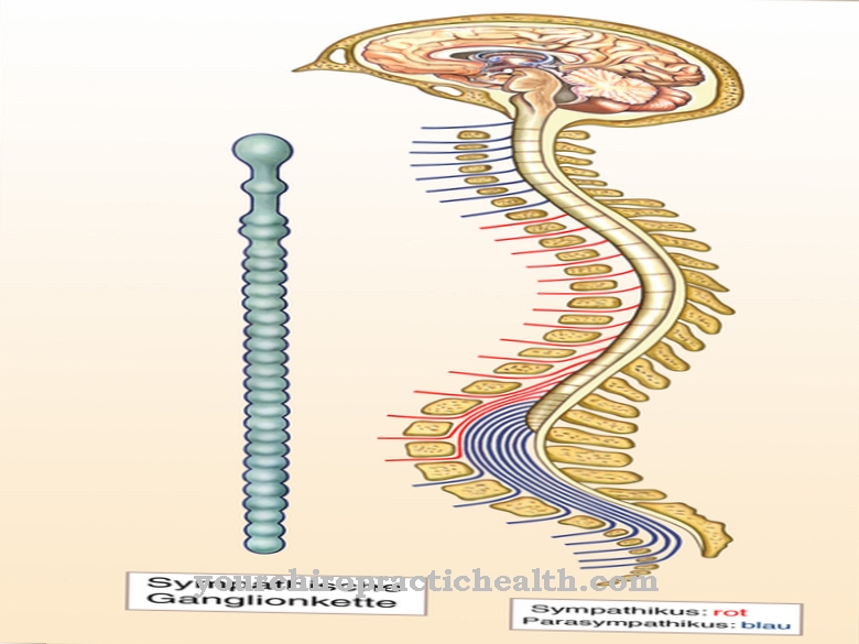 Lumbale sympathectomie