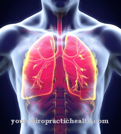 Lung biopsy