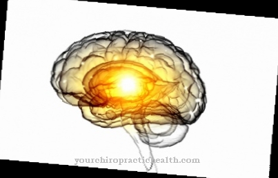 Magnetoencephalography