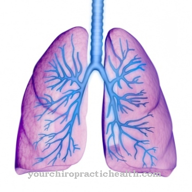 Pulmonology