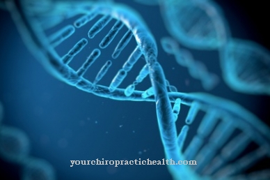 Polymerase chain reaction