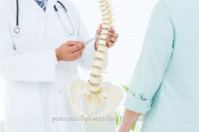 Spinal fusion