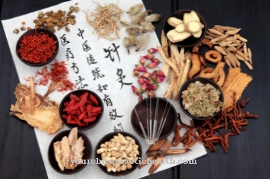 Traditional Chinese medicine